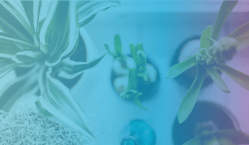 HubSpot Growth Suite