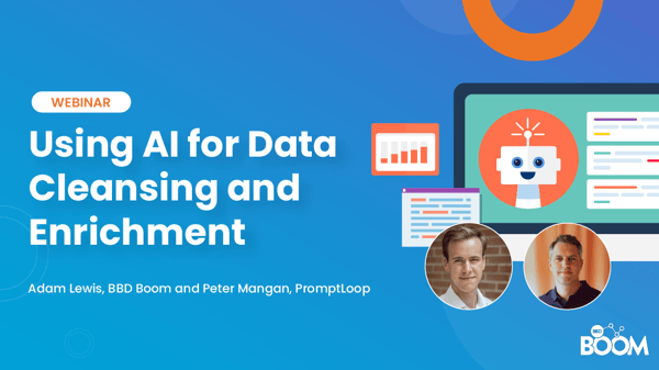 Using AI for Data Cleansing and Enrichment
